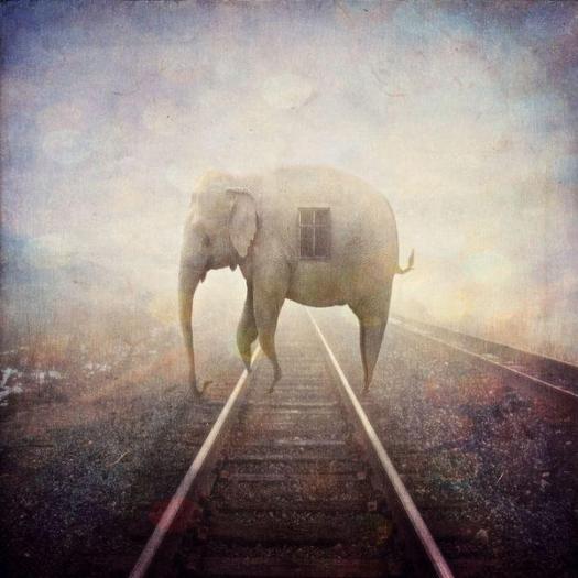 MICHAEL VINCENT MANALO 14